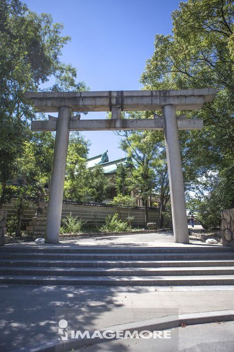 丰国神社,大鸟居,日本,亚洲