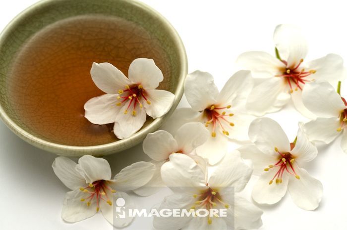 油桐花 正版商業圖片銷售下載 Imagemore富爾特正版圖庫